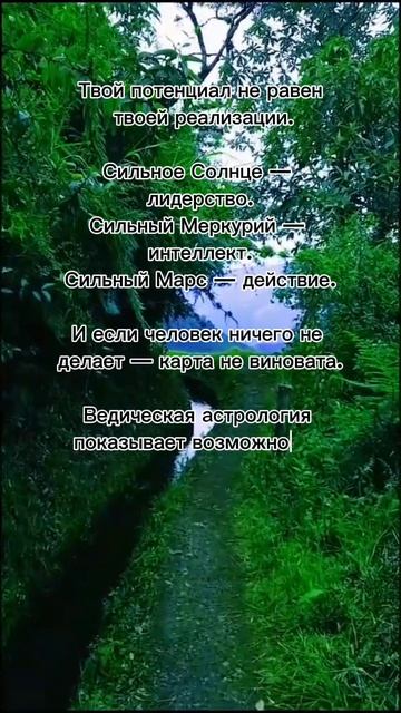 747f13f4708ea2a97b942c8bdd909943