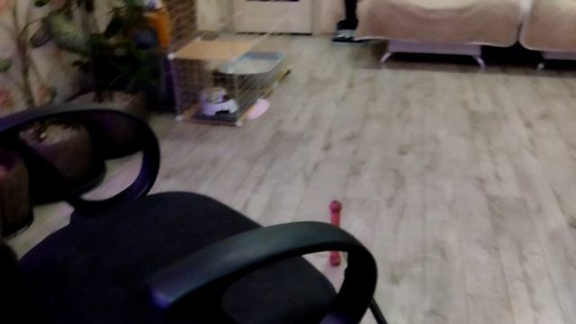 теперь я точно оди