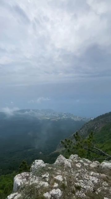 Своя Квартира