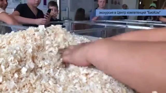 Экскурсия в Центр БиоКом