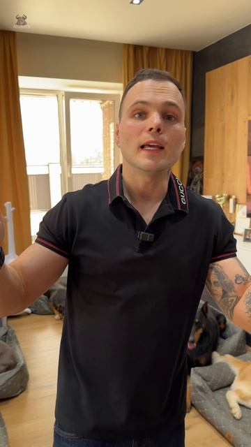 Думаете, что ваша псина особенная? А я вас огорчу!