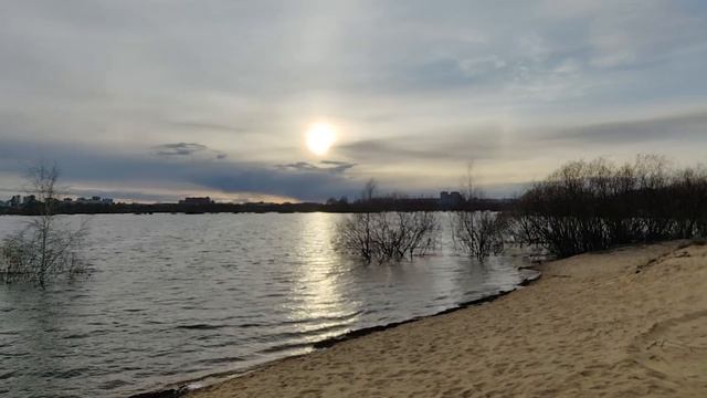 Половодье Борки. Рязань 2026