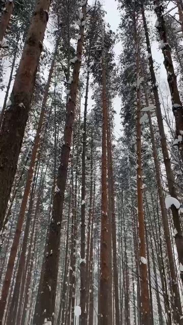 Досуг здорового человека #Vitar #снегоход #зима