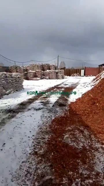 Кора Сибири Крупнейший B2B поставщик му́льчи из коры деревьев хвойных пород