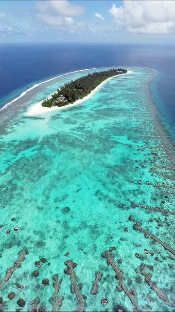 Секреты тропического острова: красота подводного мира #остров #подводныймир #путешествия