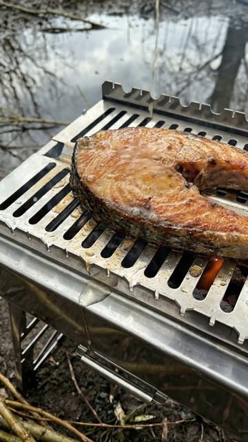 Когда бронза на рыбе говорит громче дыма