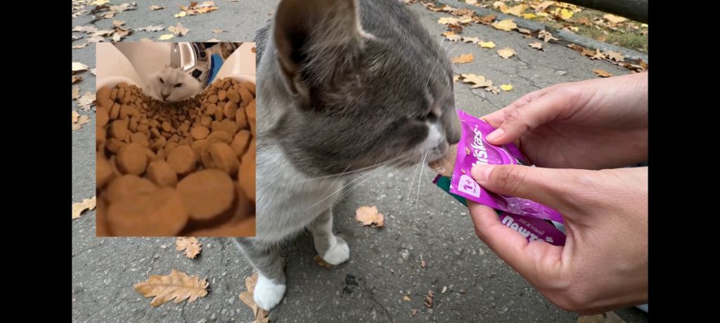 идёшь на старт