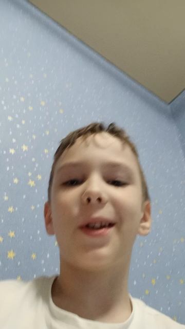 кот и собака 3:00 утра