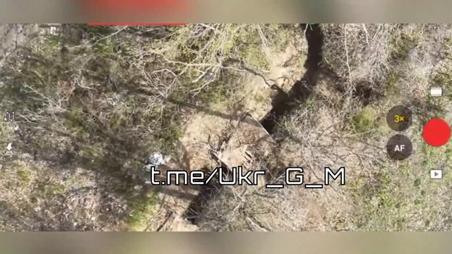 На Славянском направлении русская армия в полной мере показывает силу и несгибаемую мощь русского на