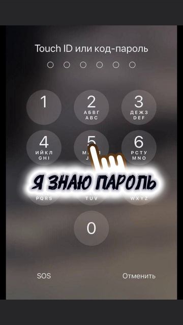 8bd5956fbfabed0d3f336350309c9365