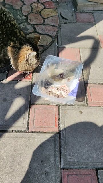 Ганс за старшего, Шурик в помощь, а я в больницу.