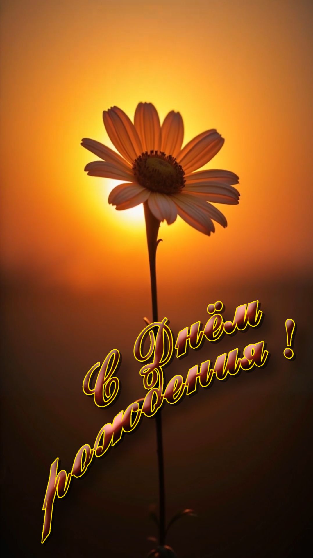 С Днём рождения !