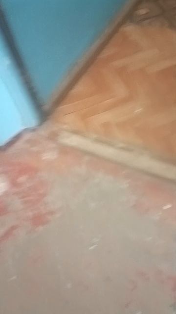 VID_20260414_131410.mp4