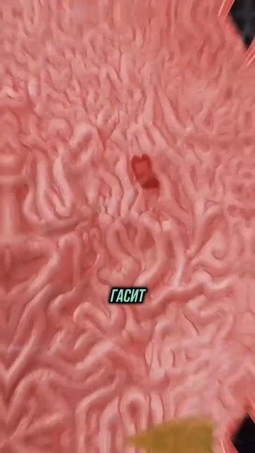 Масло черного тмина