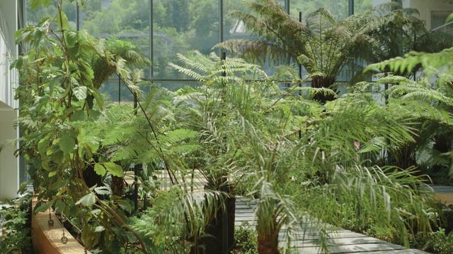 Экосистема из множества растений в сочинском санатории «Кристалл» от «Группы ЛСР»