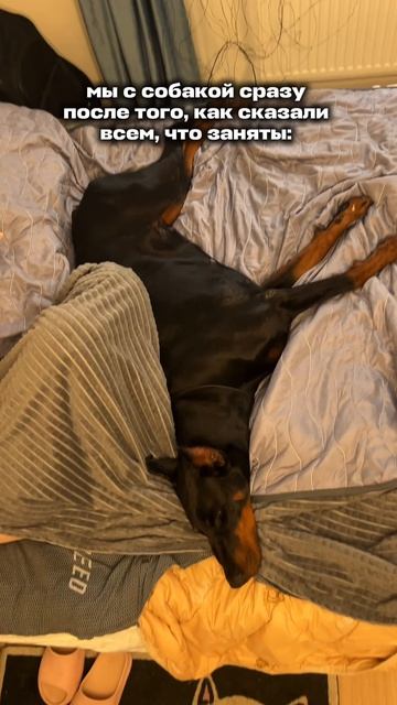 ДЕЛОВЫЕ ЖЕНЩИНЫ 😎