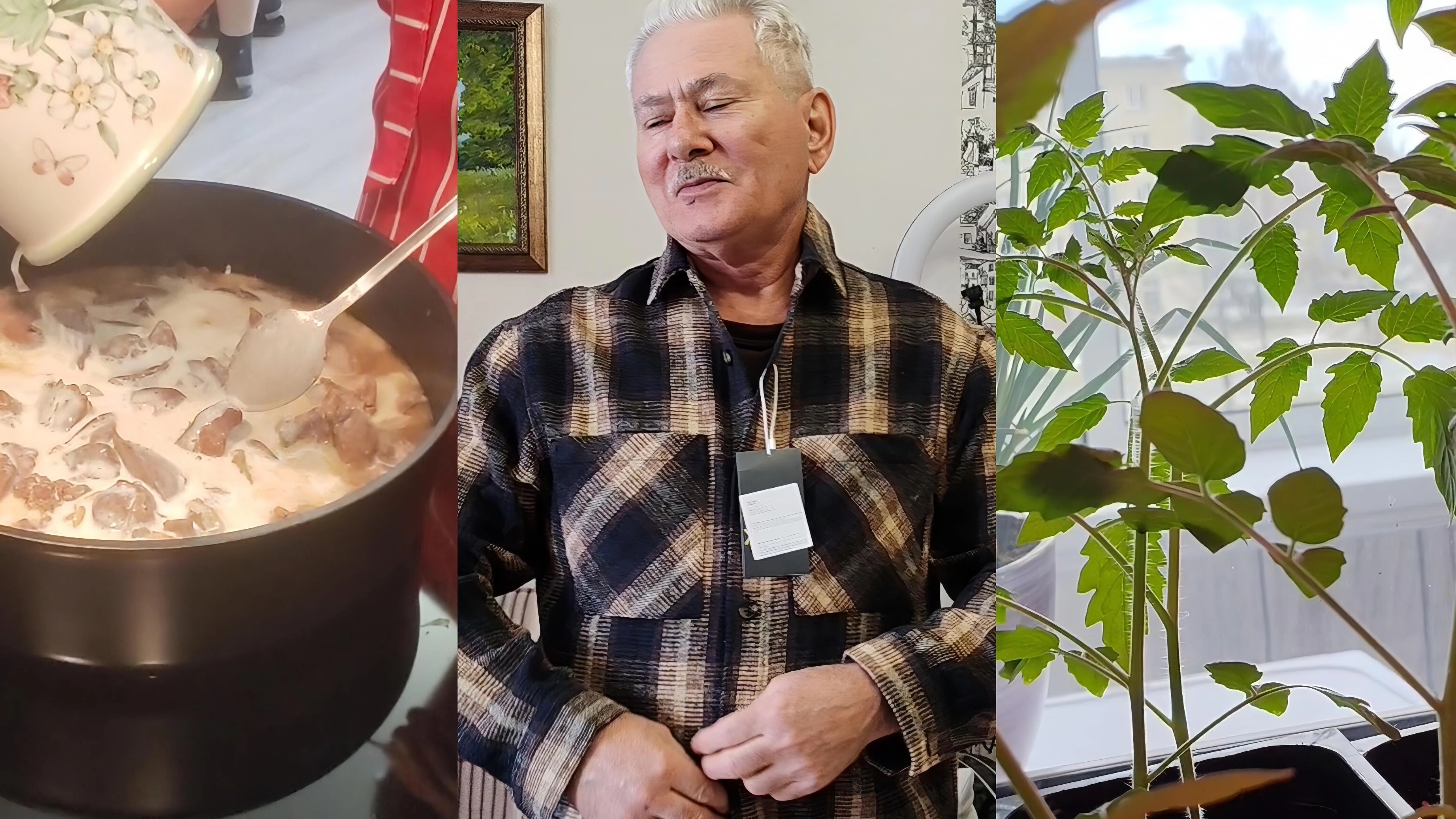 Печëнка в сливках. Покупки мужа. Рассада томатов.