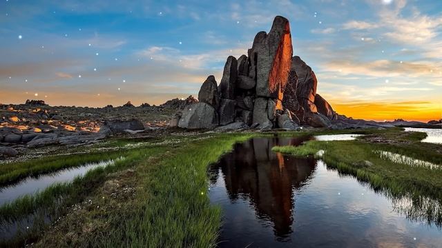 На мой день рождения муж кинул мне букет завядших роз и мелочь в лицо, и уехал