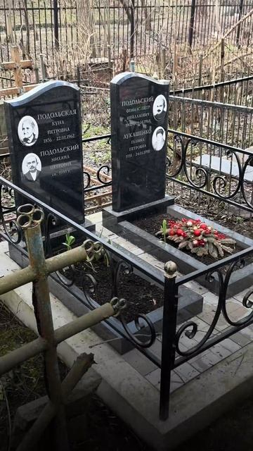 73fe62e9c0c886d103c71143ce38050d