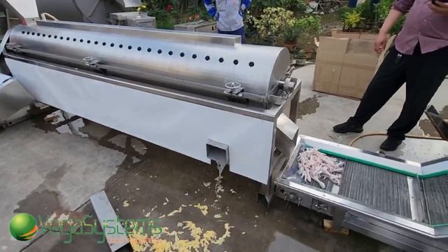 Промышленная машина Вега/Vega Chicken Feet Cleaning H300 для мойки,очистки куриных лапок