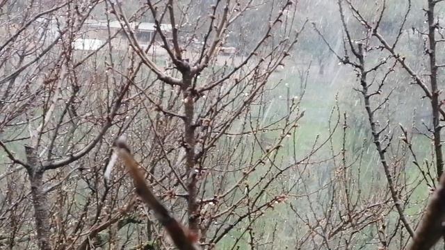 Дождливая весна, в горах Дагестана идёт дождь со снегом, идут дожди потом ополозни