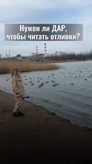 Нужен ли ДАР чтобы читать отливки отливкавоском обучениеотливкевоском [get.gt]