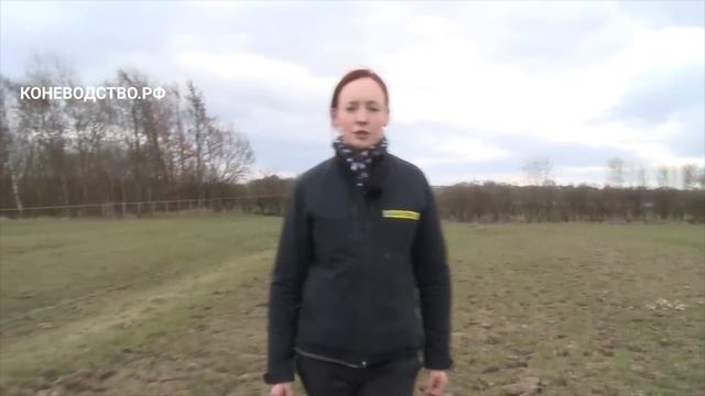 Коневодство: Сеялка, семена, травосмеси, аэраторы , техника