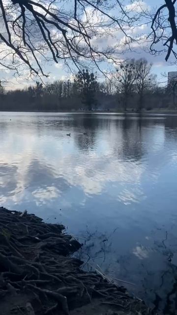 Природа оживает. Скоро долгожданное лето!!! Калининград. Ашман парк.