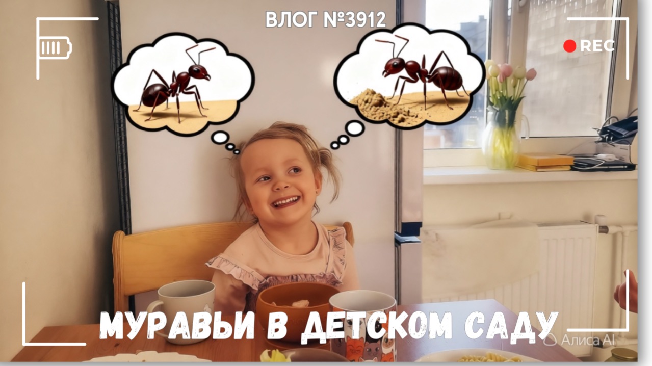 А она хороший рассказчик! - ВЛОГ №3912 - 12.04.26