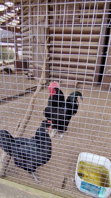 Встречаем ПАСХУ в женском монастыре.