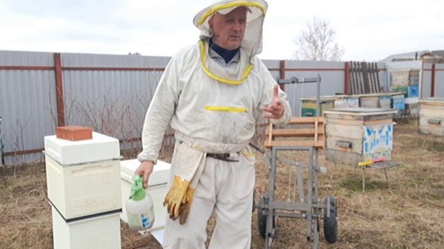 Первое расширение C 6 до 12 рамок. Перемещение ульев по пасеке