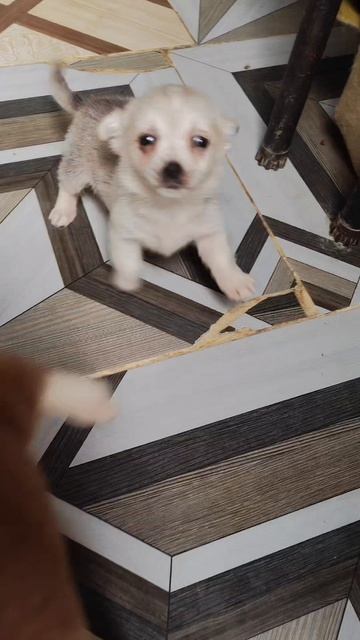 Малышня подрастает