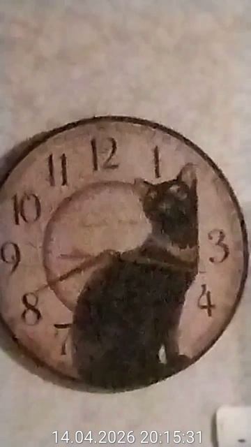 Улица Кубинка. Звук удара от соседей два года. 14.04.2026