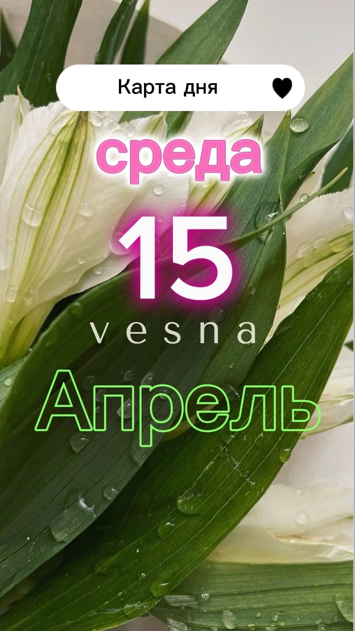 🏆8 Кубков🏆 Карта дня на 15-04-2026. Среда
