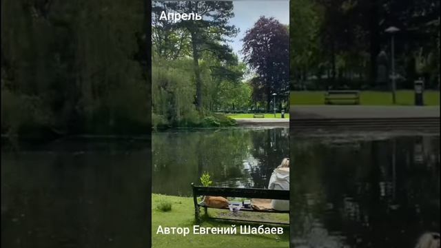 Апрель. Автор Евгений Шабаев