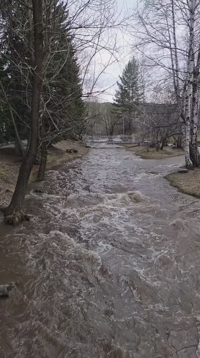 Река Белокуриха с моста #Алтай