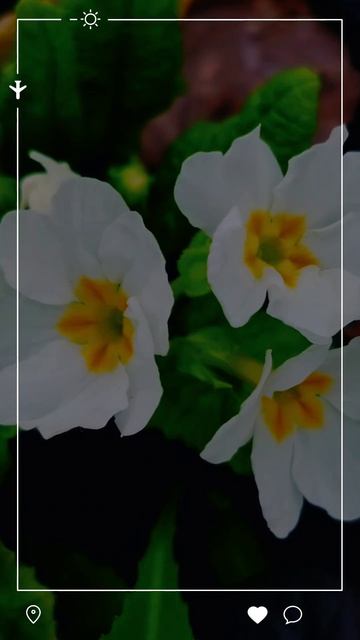 Мой новый фильм . 