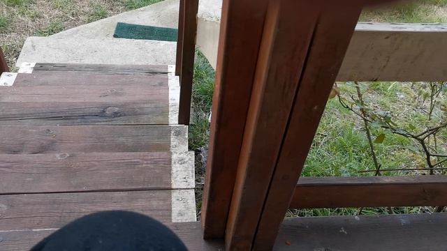 СОЧИ ГОРНОЕ ЛОО ВЕЧЕР 14.04.2026