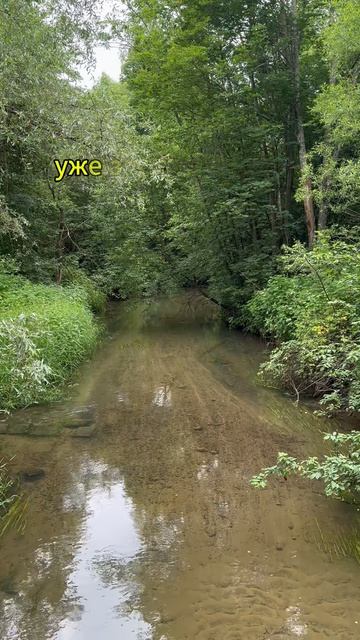 Не думай, а делай!