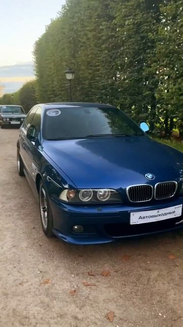 Да будет срач в комментах о моей компетентности и недолжному отношению к женскому полу