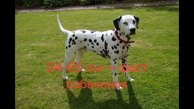 E75b89024d80258306d1f0b68eaa9aea