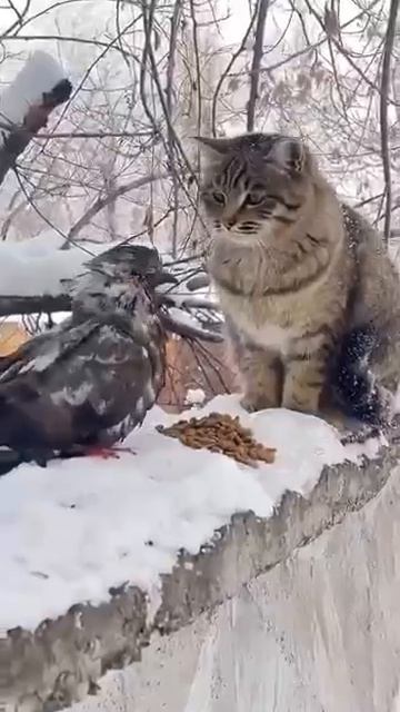 И тут я офигел