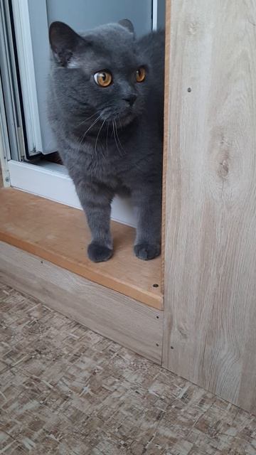 Развернулся, подумал и решил не гулять.