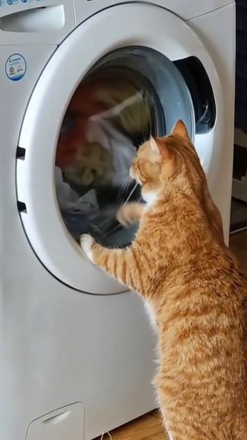 Крутись, барабан. Крутись. Я слежу. Я никуда не уйду.