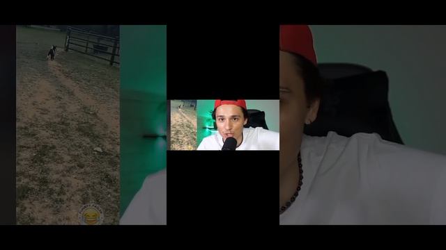 Screen-20260413-193956.mp4