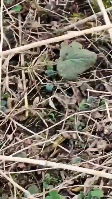 доброе утро добрые люди