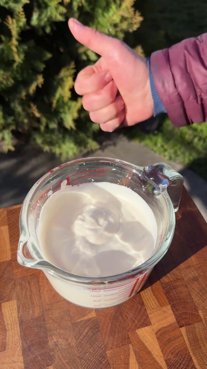 Домашний Майонез из рассола горошка Bonduelle