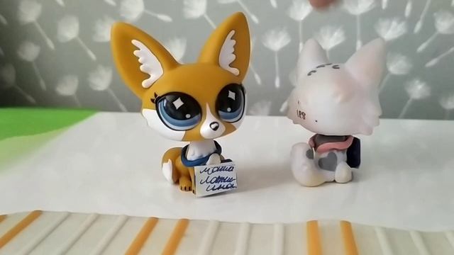 разговорное видео со мной