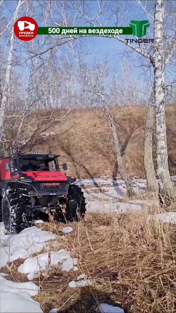#тингер #tinger #4х4 #внедорожник #вездеход #болотоход #снегоболотоход #квадровездеход #максиквадроц