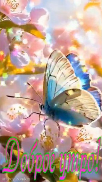 Доброе утро!) Замечательного дня!) #доброеутро